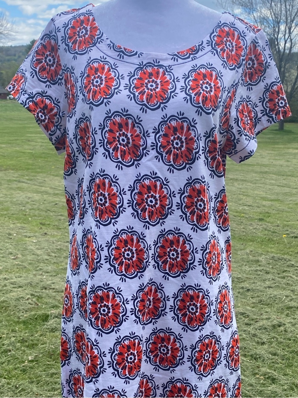 Hatley Dress Nellie Cut Cotton Blue Red Flowers Floral Poppies Large